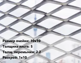 Сетка ЦПВС 10х10 s=5 2.2 Раскрой: 1х10